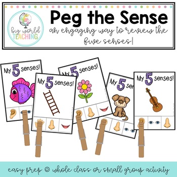 peg the sense activity for teaching the five senses