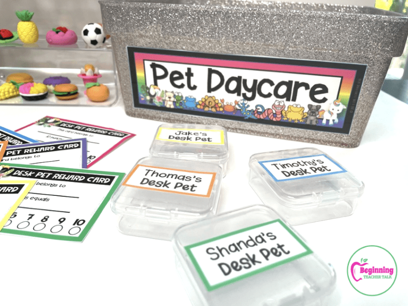 A desk pet daycare made from a sparkly storage bin