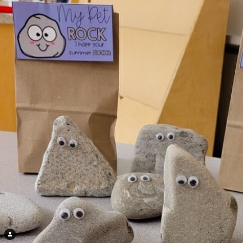 Pet rocks made from ordinary rocks and googly eyes to use as end of year student gifts
