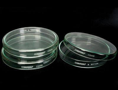 Round glass petri dishes against a black background
