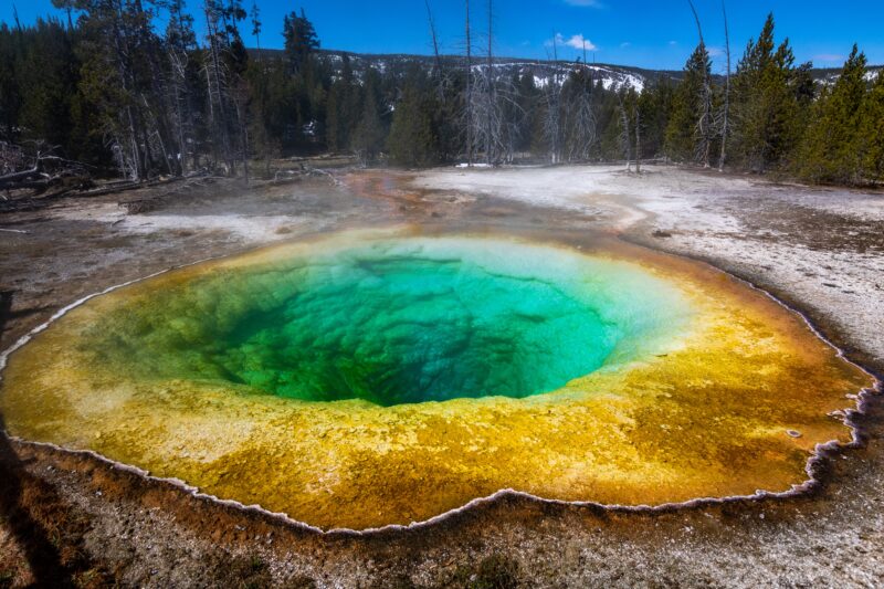 yellow stone geyers for a virtual field trip 