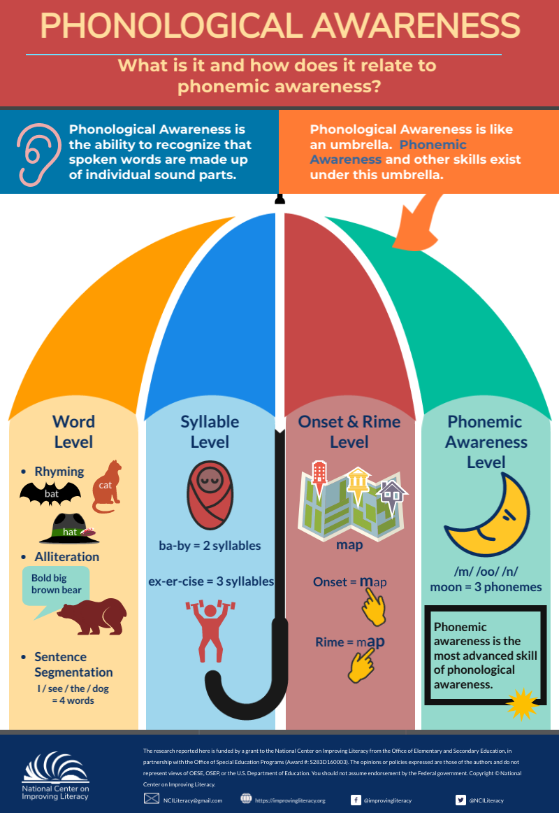 Infographic explaining the umbrella of phonological awareness in early literacy