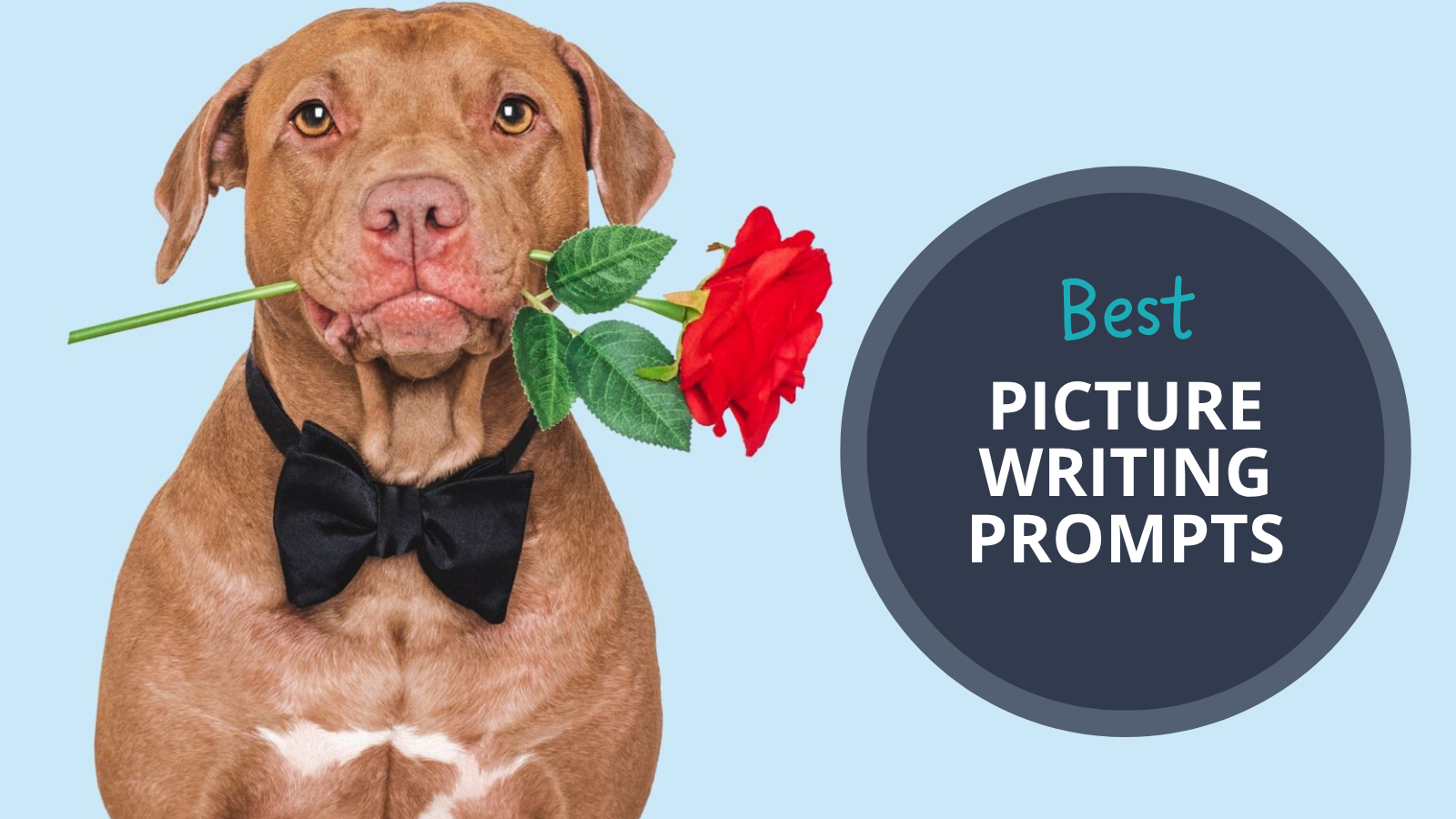 Image of a dog wearing a bow tie and holding a rose in its mouth. Text reads Best Picture Writing Prompts