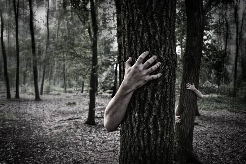 Black and white photo of tree trunks with arms and hands reach out from behind them (Picture Writing Prompts)
