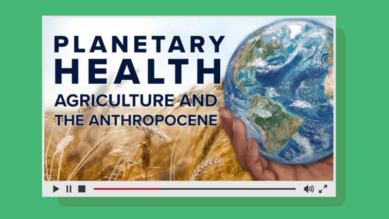 planetary health