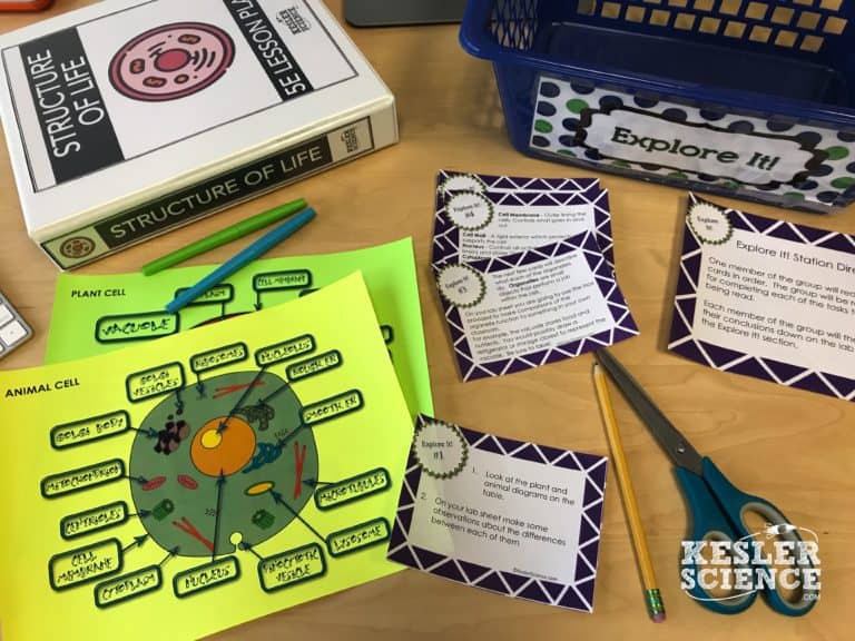 Worksheets and flashcards about plant cells are shown.