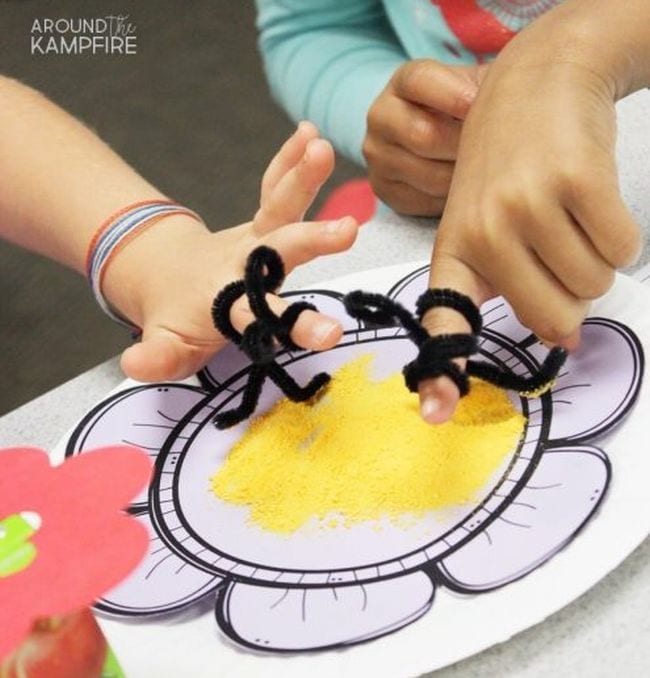 Students wearing pipe cleaner bees on their fingers over a plate of cheese powder (Plant Life Cycle Activities)