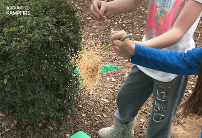 Students exploding a balloon full of seeds and sand (Plant Life Cycle Activities)