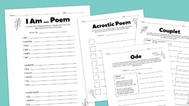 Flat lays of poetry worksheet bundle