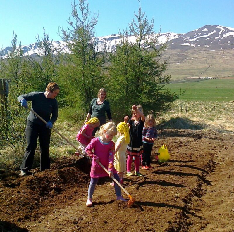 preschool children working in a garden