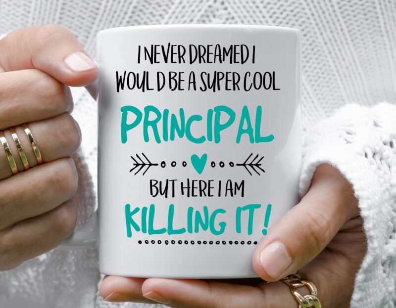 I never dreamed I would be a super cool principal mug. Top addition to our principal gifts list!