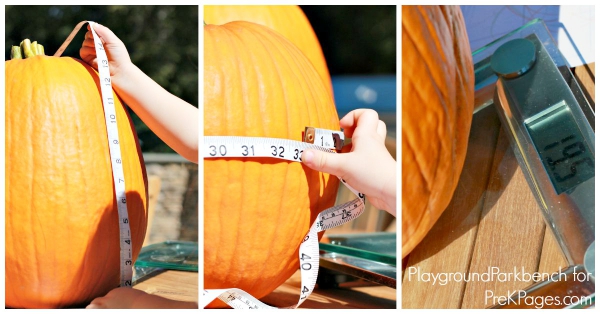 three ways to measure pumpkins for a fall activity