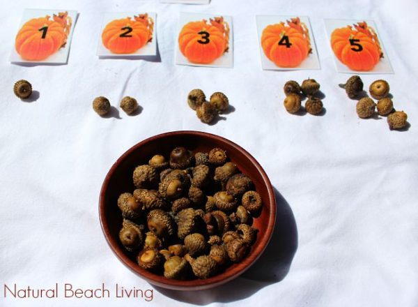 math counting game for young children using pumpkin cards and acorns