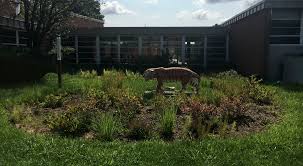 rain garden with tiger statue in front of a school 