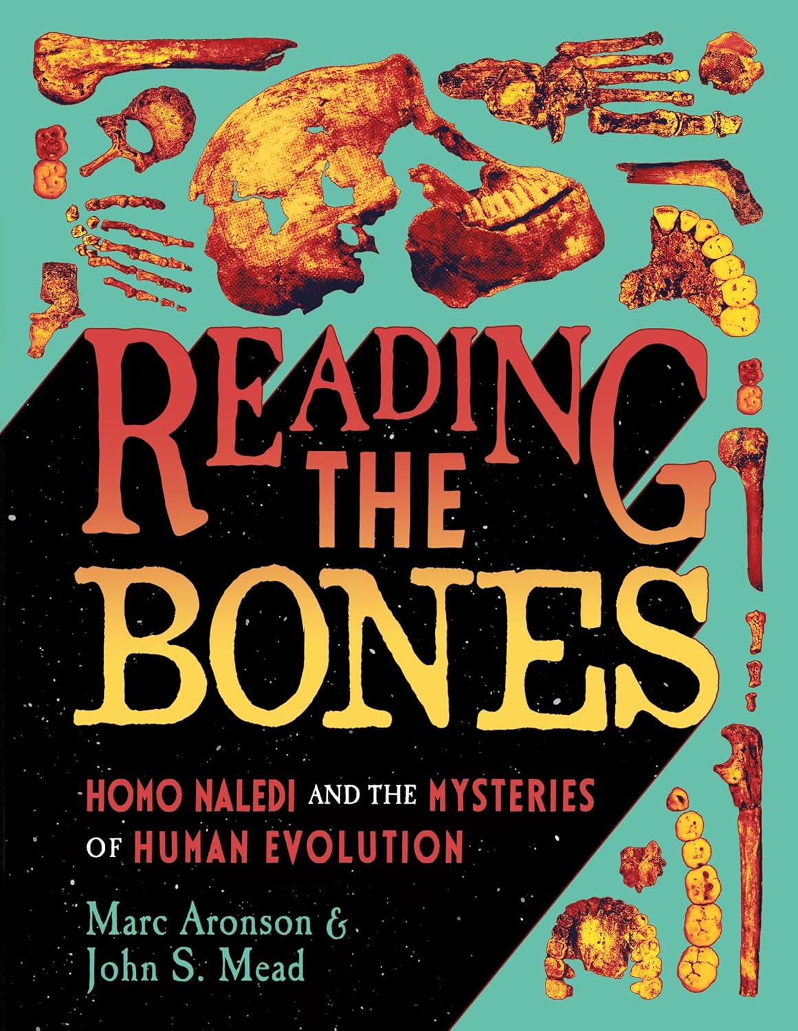 Reading the Bones book cover
