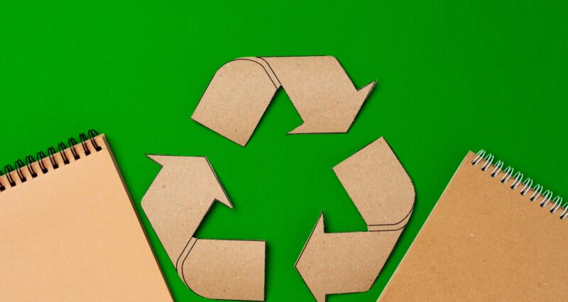 essay recycling activity