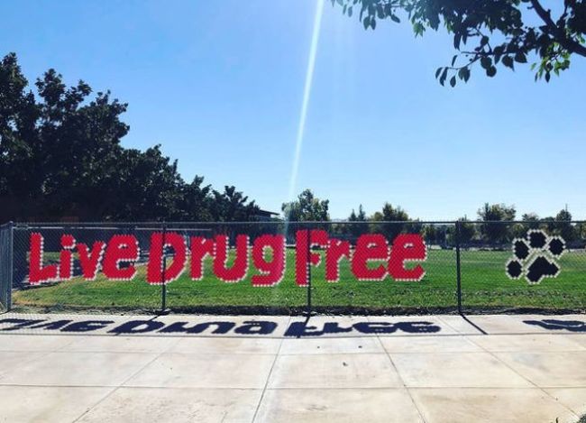 Live Drug Free spelled out on a chain link fence using plastic cups