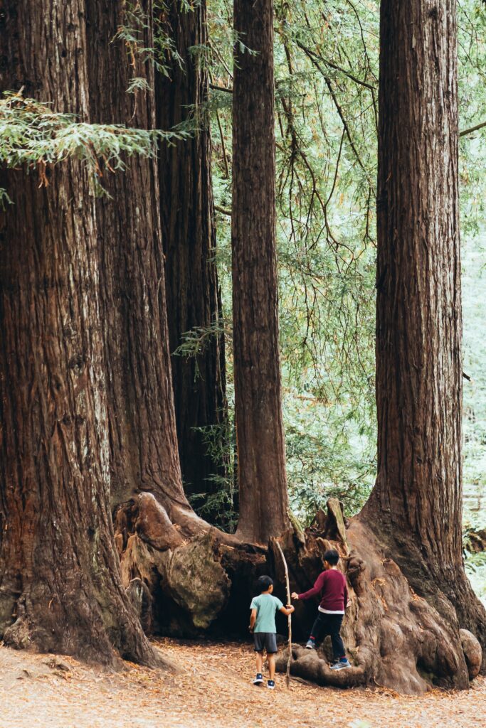 photo-of-two-children-standing-next-to-a-redwood-tree
