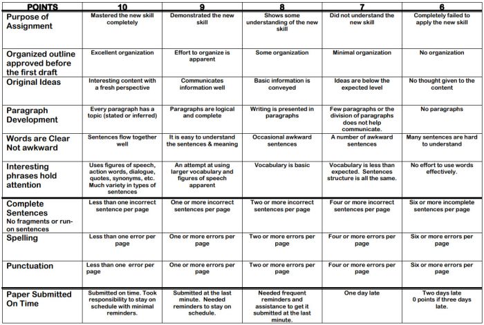 Rubric for scoring an essay with a final score out of 100 points