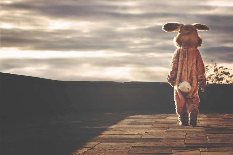 A person wearing a dingy bunny costume standing on the end of a dock