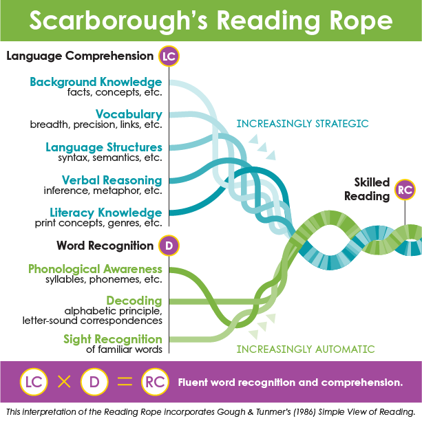 depiction of how language comprehension and decoding are intertwined like rope in the process of skilled reading