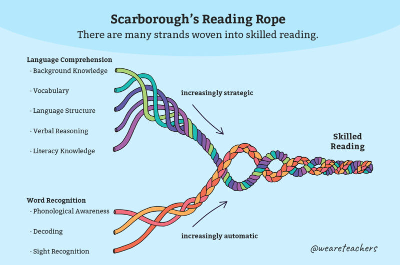 A model showing Scarborough's Reading Rope, a way to understand the science of reading
