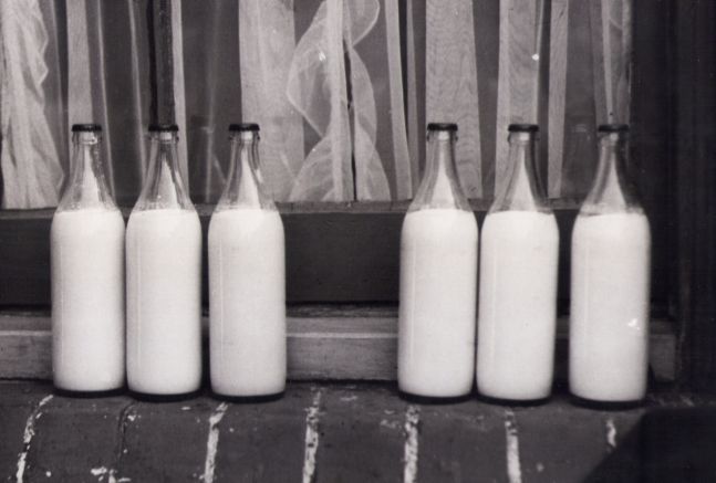 A row of vintage glass milk bottles on a doorstep, in black and white