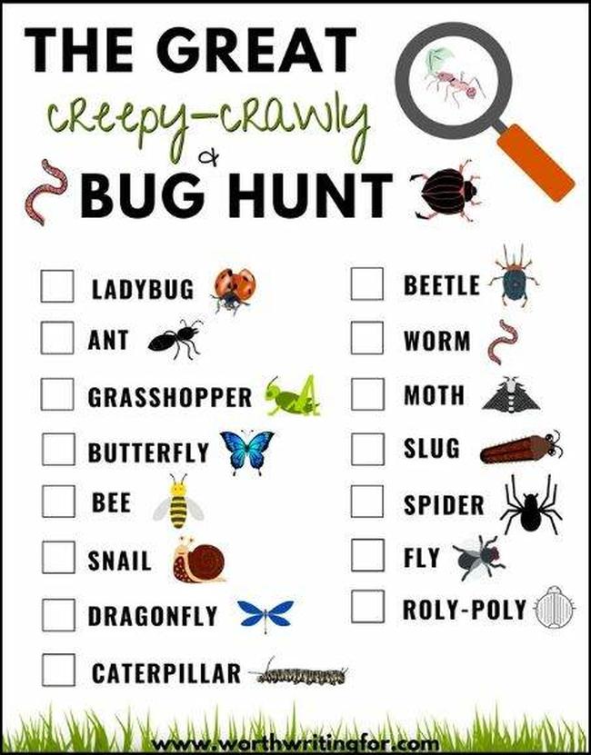Printable worksheet caleld The Great Creepy-Crawly Bug Hunt