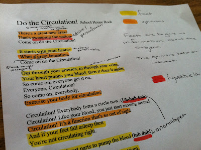 analysis of lyrics of circulation system song 