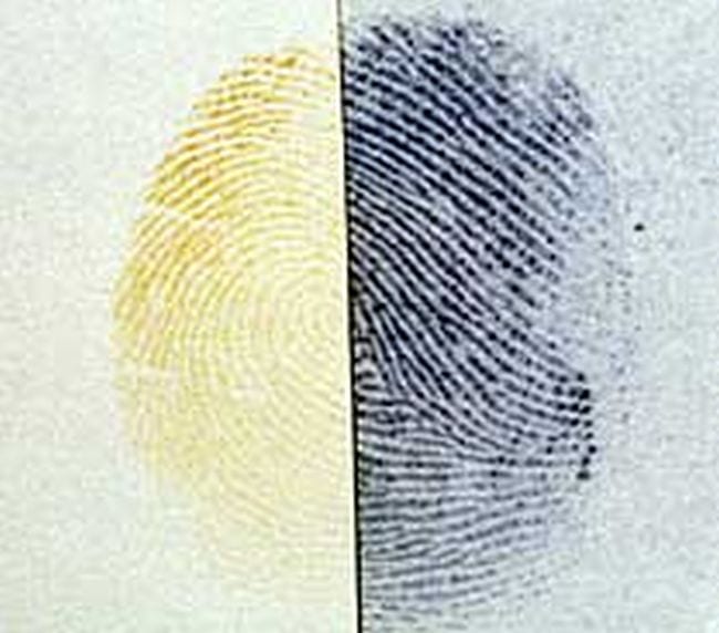Fingerprint divided into two, one half yellow and one half black