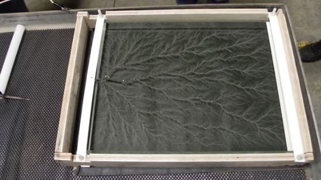 Lichtenberg figure generated on a sheet of Plexiglass