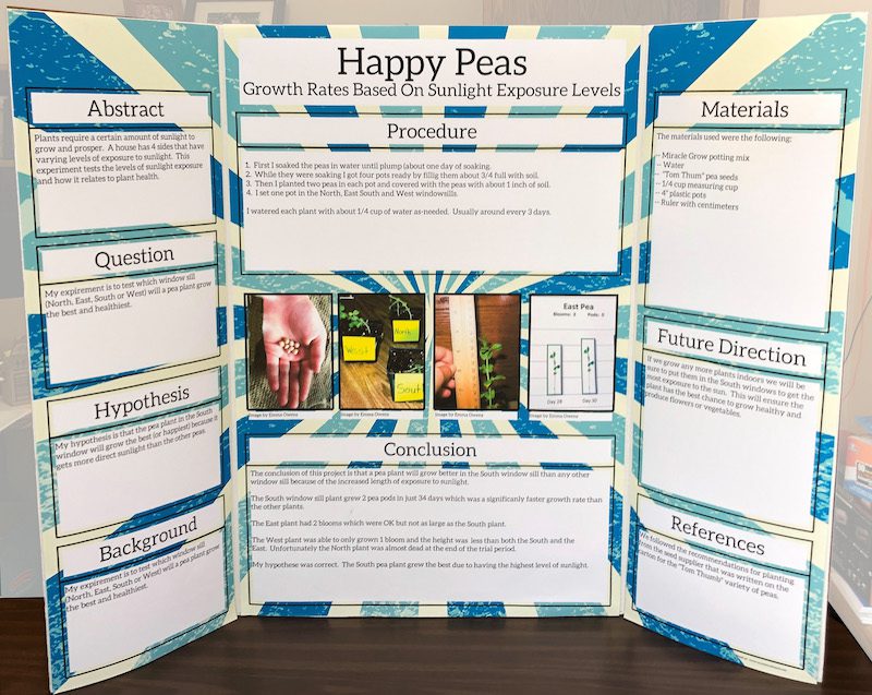 Happy Peas science fair board