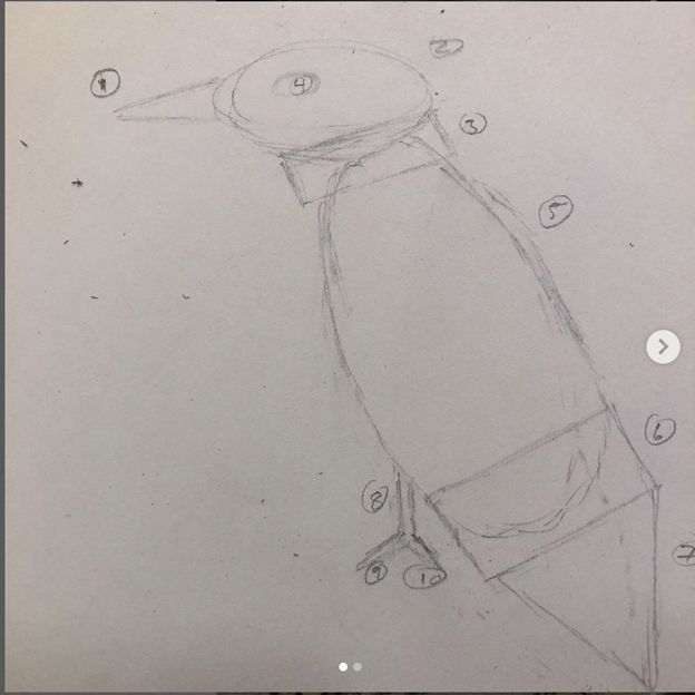 Science notebook drawing of a bird.