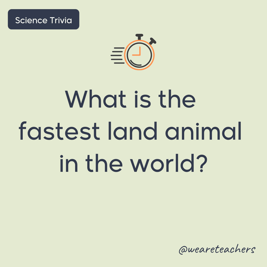 What is the fastest land animal?- science trivia
