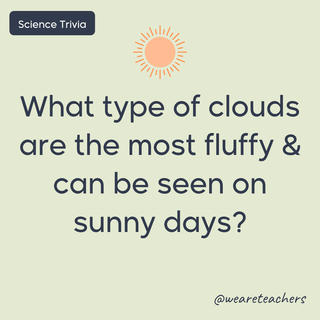 What type of clouds are the most fluffy & can be seen on sunny days?