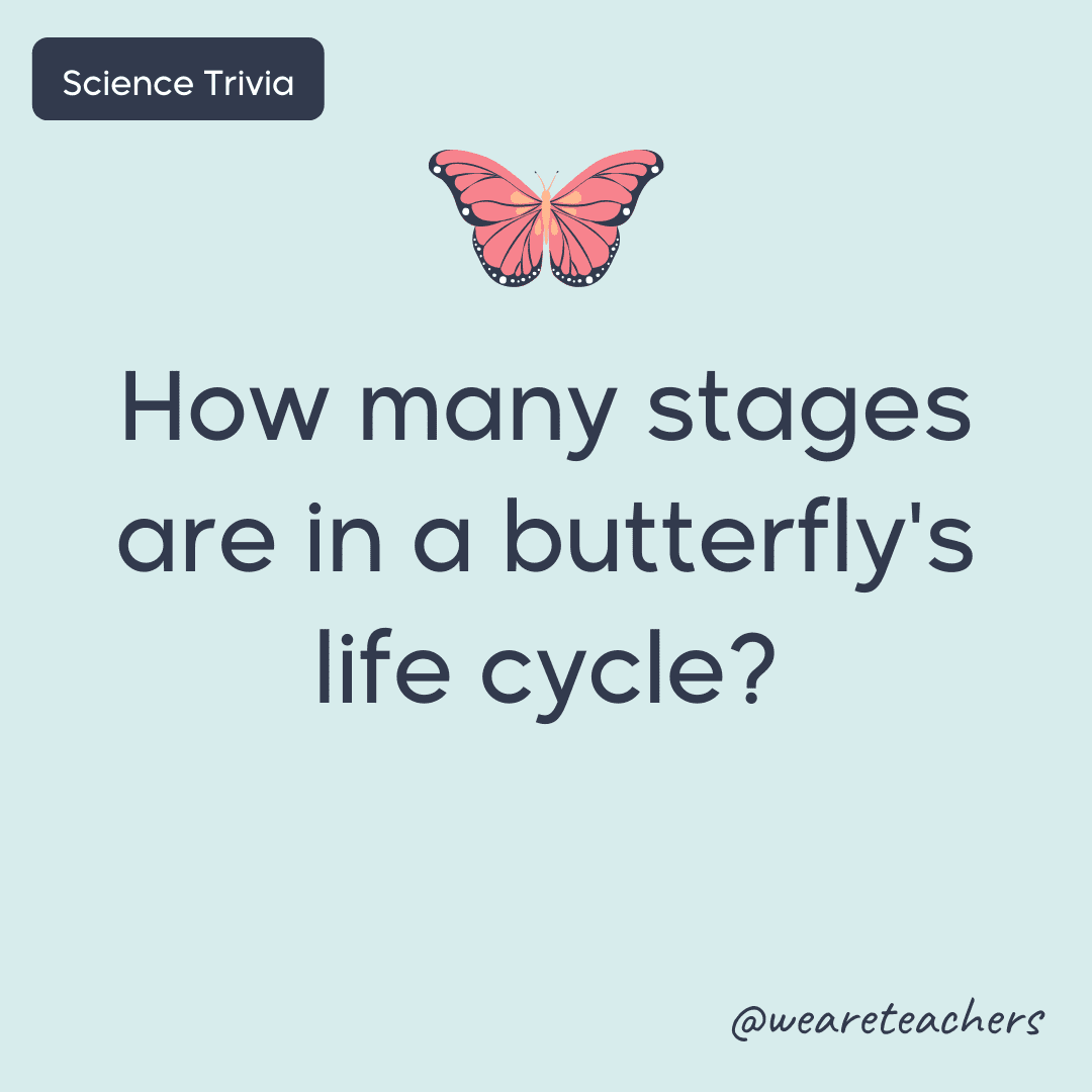 How many stages are in a butterfly's life cycle?- science trivia