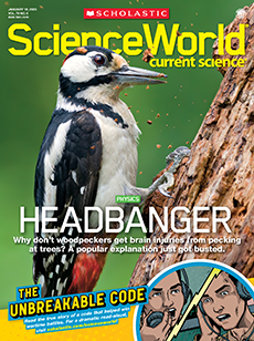 Sample issue of Scholastic Science World as an example of best science magazines for kids