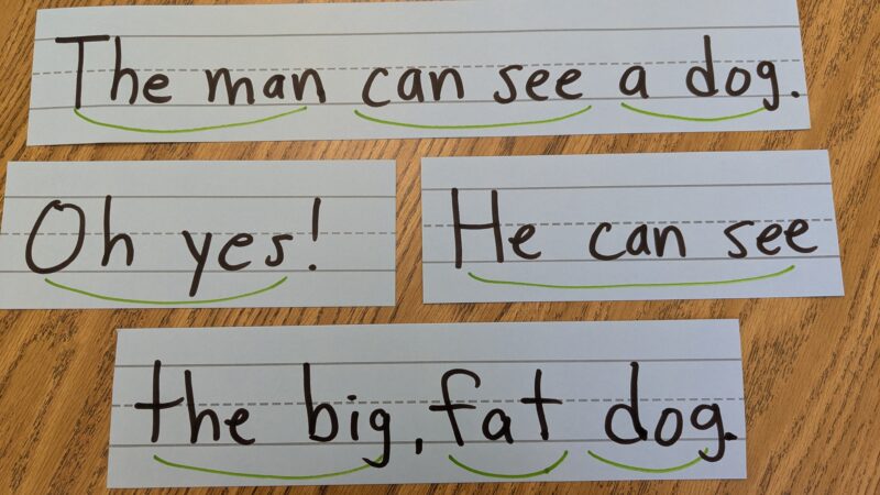 sentences with scooping lines under them to build fluency 