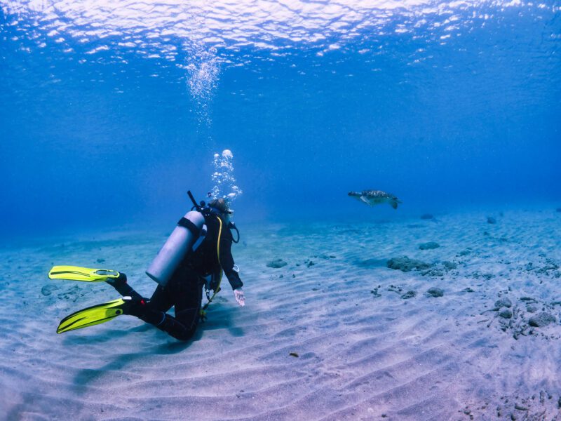 Diver at the bottom of the ocean touching sand - science careers