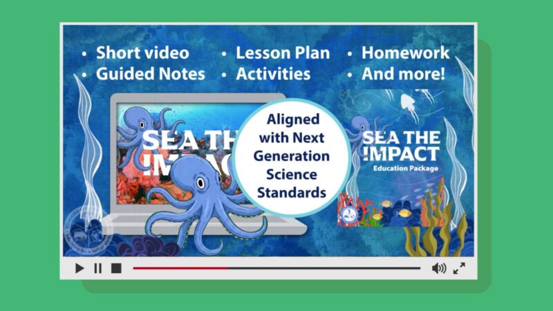 sea the impact