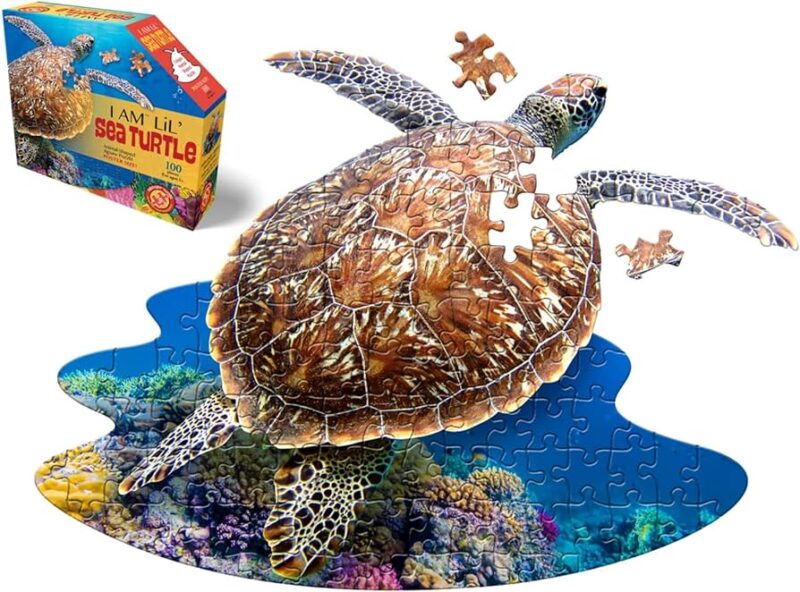 puzzle shaped like a sea turtle 