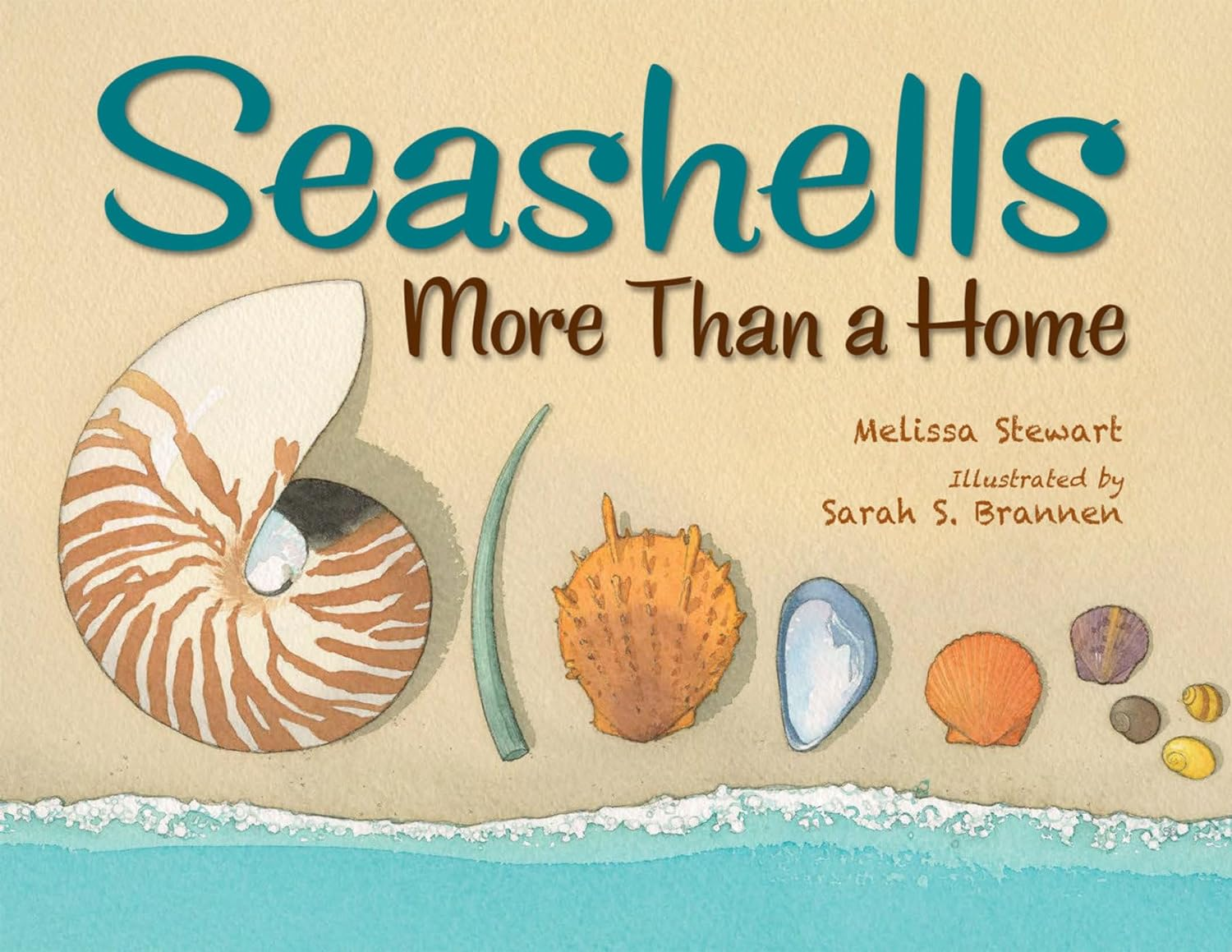 Seashells More Than a Home- summer read alouds