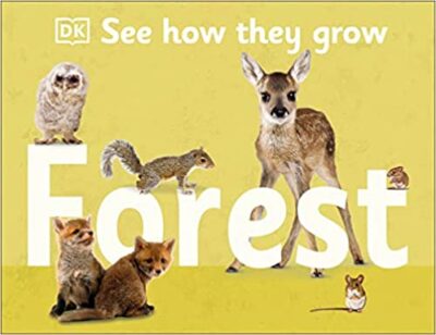 Book cover for See How They Grow Forest as an example of animal books for kids