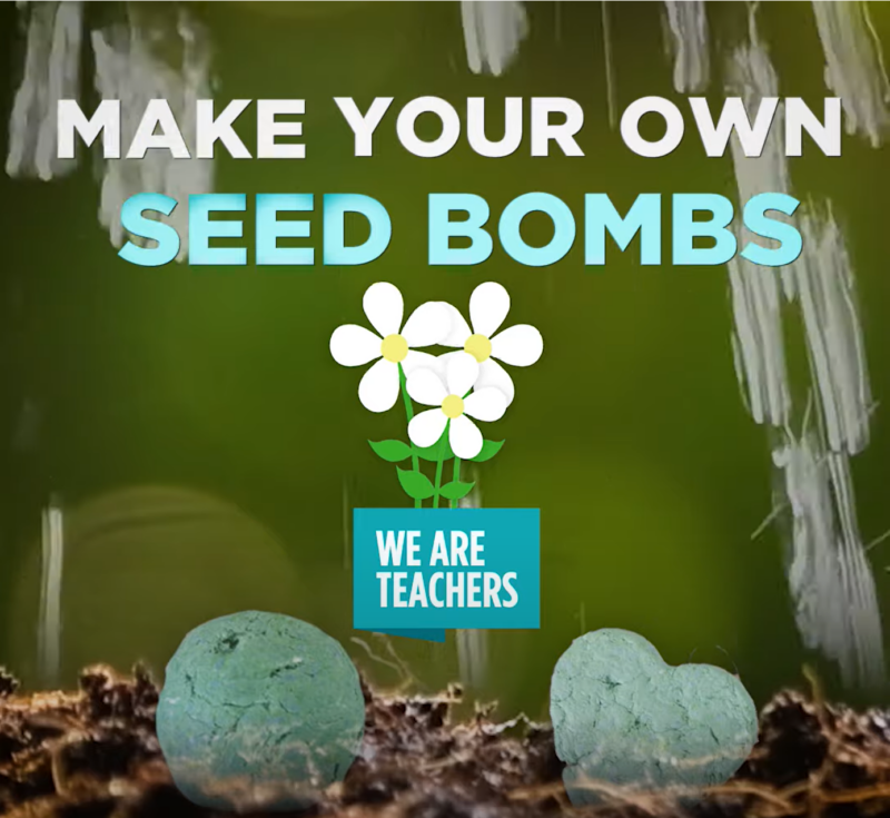 Screenshot from a video about how to make seed bombs.
