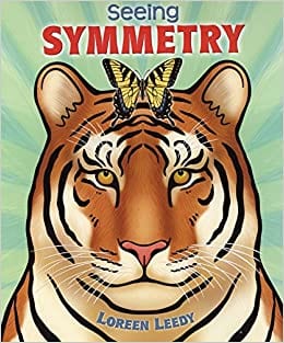 Book cover for Seeing Symmetry