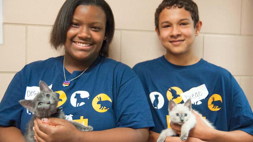 Teen volunteers holding kittens at an animal shelter