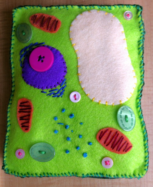 A green rectangle is sewn and stuffed. It has multiple different shapes sewn on top of it to resemble the parts of a plant cell.