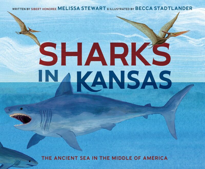 Sharks in Kansas Sharks in Kansas book cover