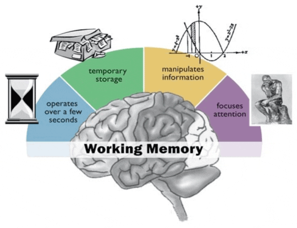 Dyslexie et mémoire de travail vont de pair - comment aider les élèves ...