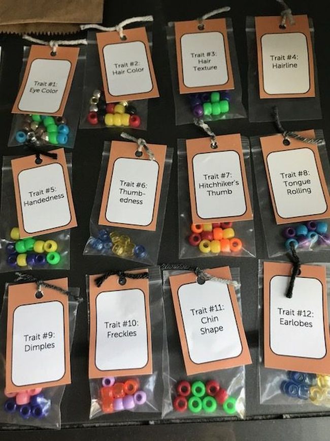 Bags of pony beads labeled with various traits like hair color and eye color
